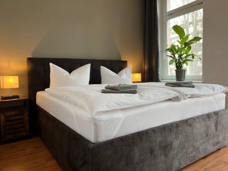 Apartmán Akk6 Designpartment Naehe Hbf Uni Oper Magdeburk Exteriér fotografie